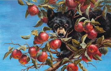 Apple Bruin