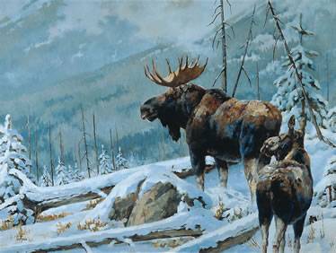 Moose Pair by Edward Du Rose - Auction record, sale price, and art valuation. Compare with similar artists and explore comparable artworks.