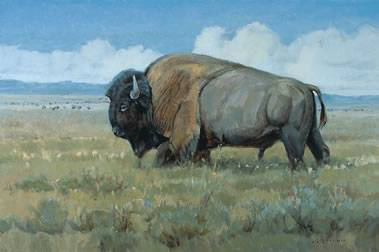 Prairie Gentleman by Stephen (Steve) C Elliott - Auction record, sale price, and art valuation. Compare with similar artists and explore comparable artworks.