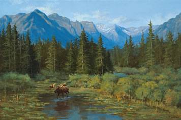 Moose at St. Marys'