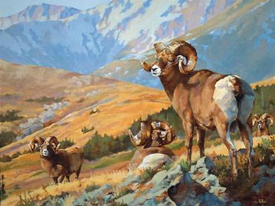 4 Rams