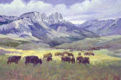 Bison-Rocky Mountain Front