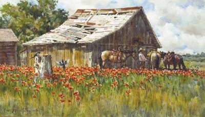 Poppies