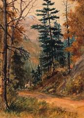 Rider on a Forest Road