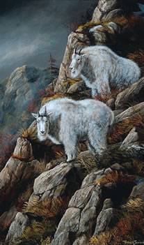 Cliff Dwellers