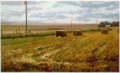 Corner of Idaho