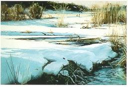 High Meadow Headwaters