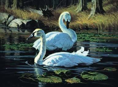 Among Evening Lilies by Jack Koonce - Auction record, sale price, and art valuation. Compare with similar artists and explore comparable artworks.
