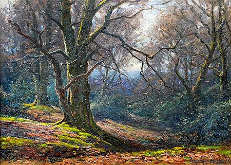 New Forest (4)