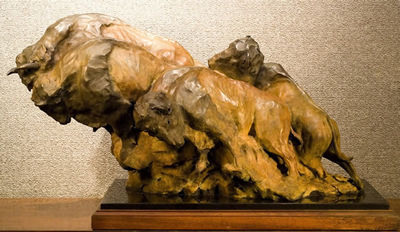 American Bison