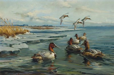 CANVASBACKS by George Browne - Auction record, sale price, and art valuation. Compare with similar artists and explore comparable artworks.