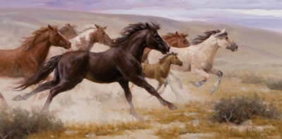 Freedom