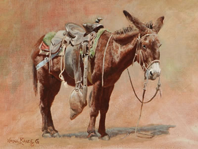 Slow Transportation