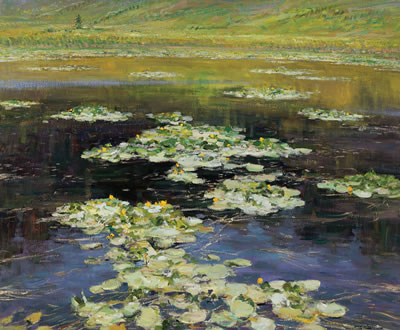 Lilies