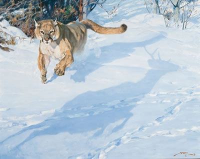 Shadow of Peril