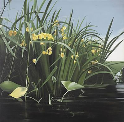 Wild Plants