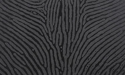 Traces