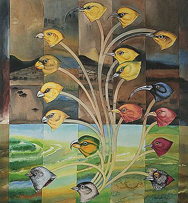 Hawaiian Colonists by Barun Chowdhury - Auction record, sale price, and art valuation. Compare with similar artists and explore comparable artworks.