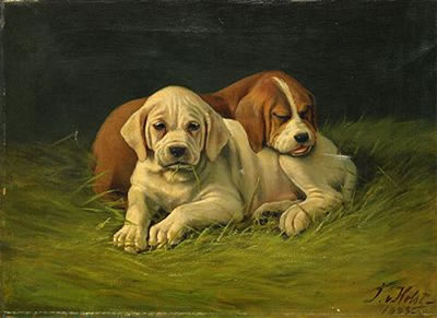 Hundvalpar