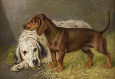 Engelsk setter och tax