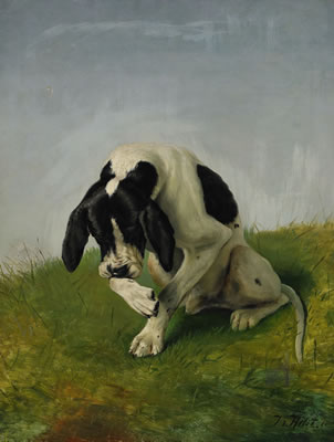 Pointer