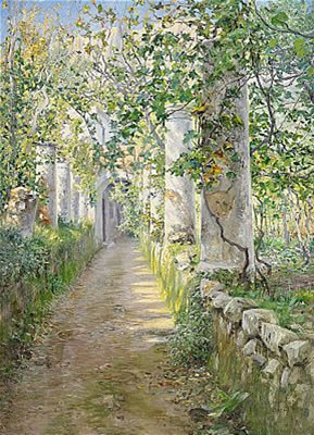 Pergola - motiv från Capri