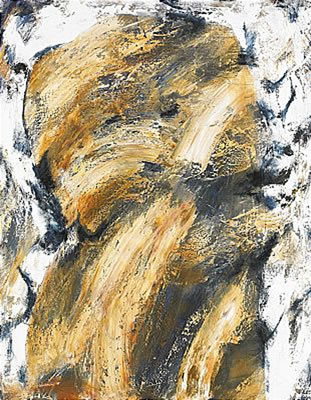 Torso