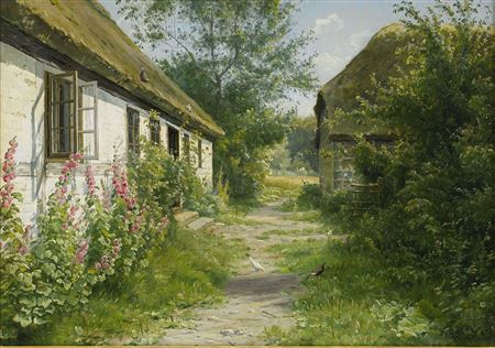 Stockroser vid et bondhus