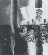 View XII