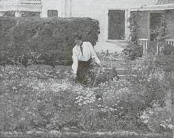 Picking Flowers in the Gard
