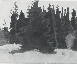 Carolyn Wyeth - artist photo