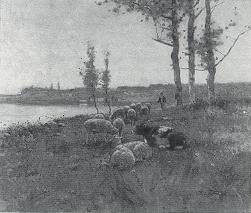 Tending the Flock