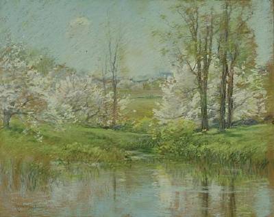 Spring Landscape