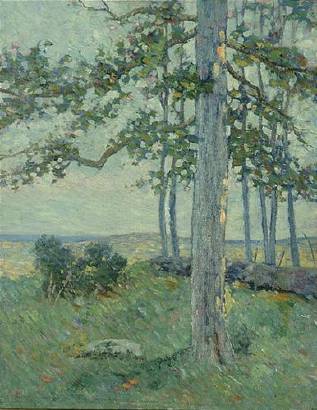 Long Island Landscape