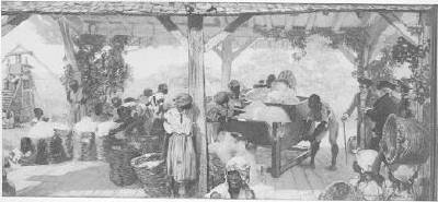 The Cotton Gin