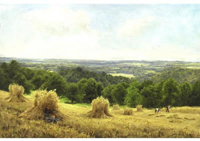 HAYSTACKS IN SUSSEX
