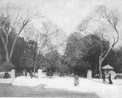 Park Scene, Early Fall by Corwin Linson - Auction record, sale price, and art valuation. Compare with similar artists and explore comparable artworks.