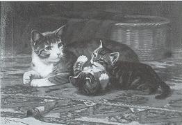 A Mother Cat and Her Kittens