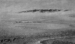 Low Tide