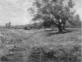 Springtime at the Pond
