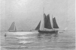 Sailboats on Calm Seas
