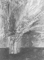 Long Dead Willow