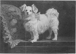 Portrait of a Phalene Papillon by Frederick Mortimer Lamb - Auction record, sale price, and art valuation. Compare with similar artists and explore comparable artworks.