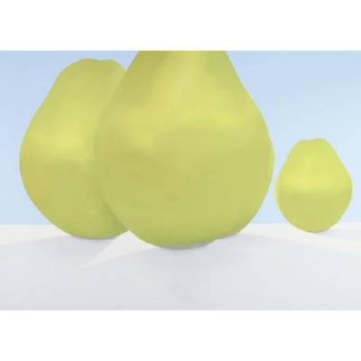 Pears by Peter Dechar - Auction record, sale price, and art valuation. Compare with similar artists and explore comparable artworks.