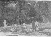 Mrs Wickey in Her Garden
