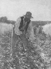 Cabbage Planter by Otto Stark - Auction record, sale price, and art valuation. Compare with similar artists and explore comparable artworks.