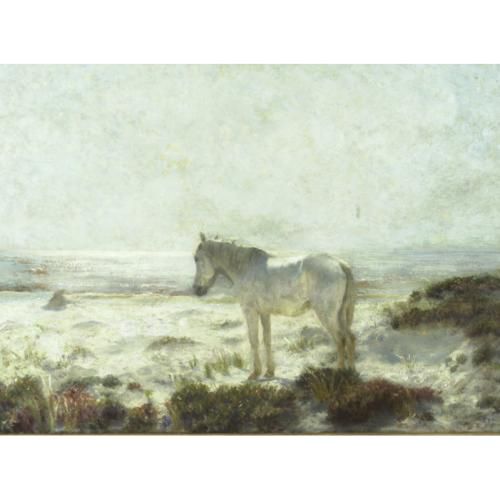 The Old White Horse of the Dunes