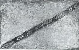 Fallen Tree