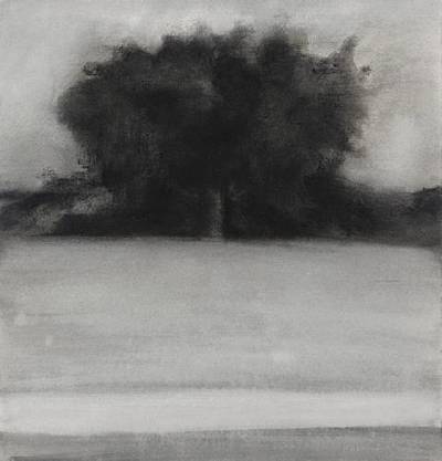 Giant Fig Tree, Harbour Island, Bahamas by Ellen Phelan - Auction record, sale price, and art valuation. Compare with similar artists and explore comparable artworks.