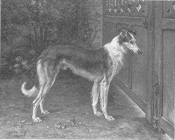 Dog Waiting by the Gate